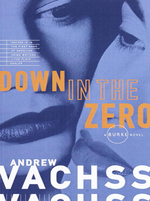 Cover image for Down in the Zero